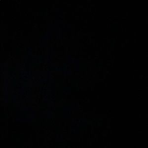 Meet your Posher, Greyson